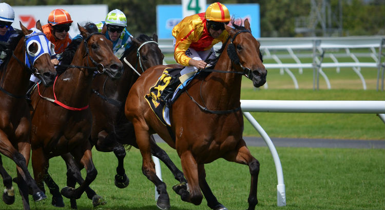 Cheltenham Festival Matched Betting Tips